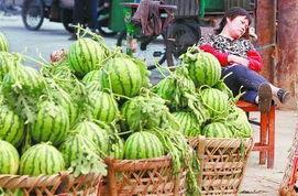 淄博吃瓜爆料事件最新进展,最新进展揭秘，真相逐渐浮出水面